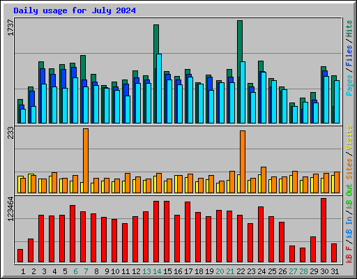 Daily usage for July 2024