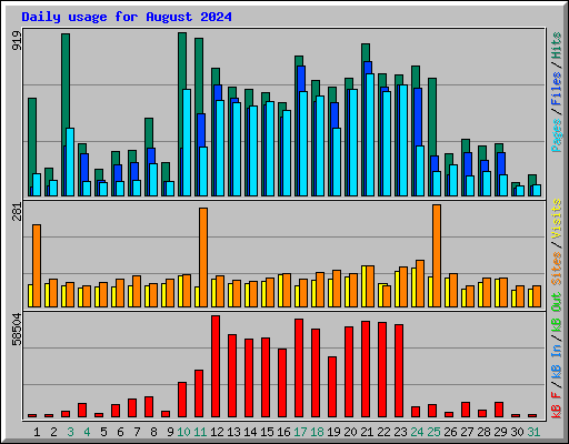 Daily usage for August 2024