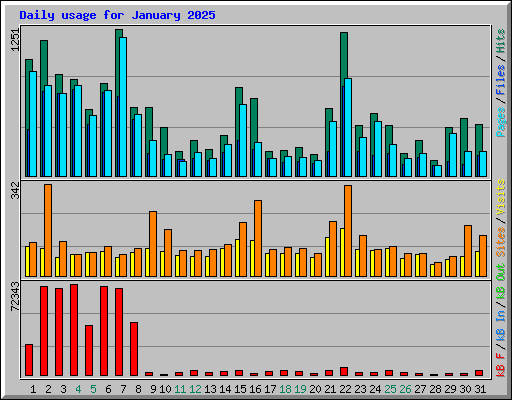 Daily usage for January 2025