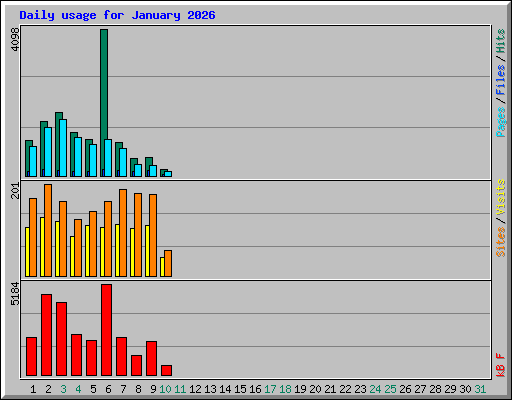 Daily usage for January 2026