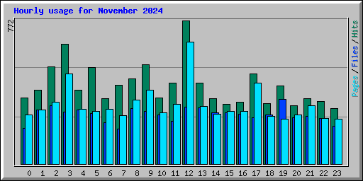 Hourly usage for November 2024