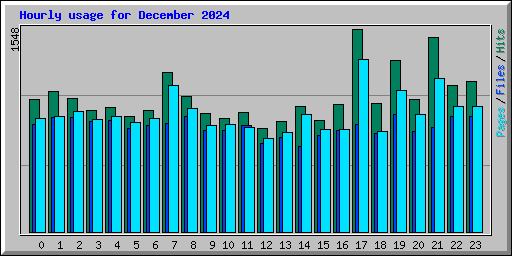 Hourly usage for December 2024