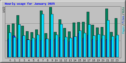 Hourly usage for January 2025