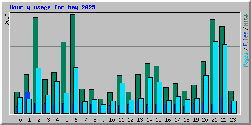 Hourly usage for May 2025