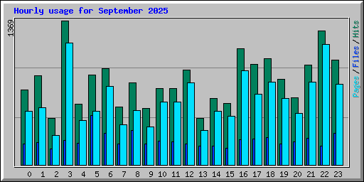 Hourly usage for September 2025