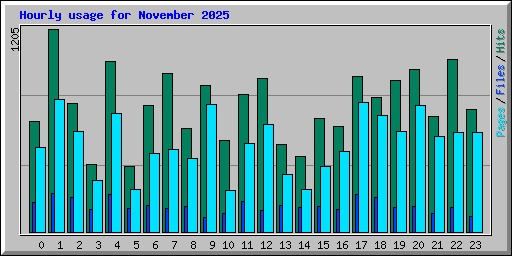 Hourly usage for November 2025