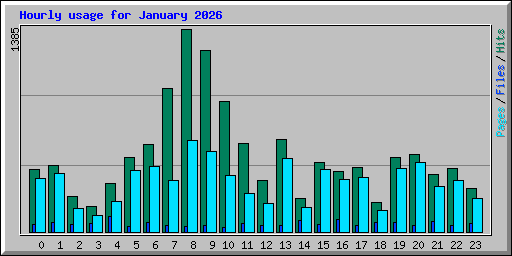 Hourly usage for January 2026