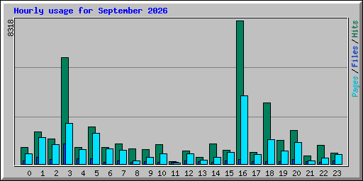 Hourly usage for September 2026