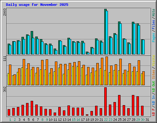 Daily usage for November 2025