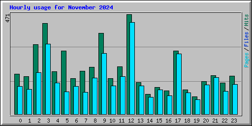 Hourly usage for November 2024