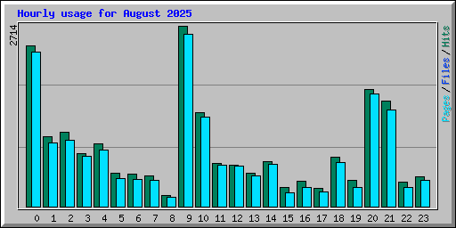 Hourly usage for August 2025