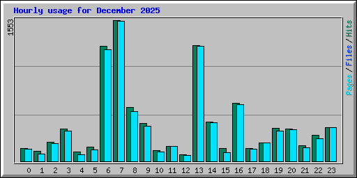 Hourly usage for December 2025