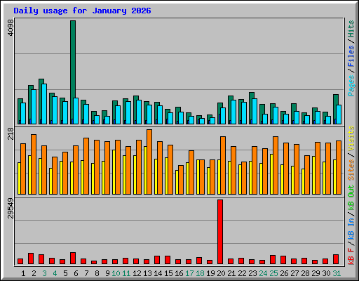 Daily usage for January 2026