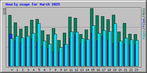Hourly usage for March 2025