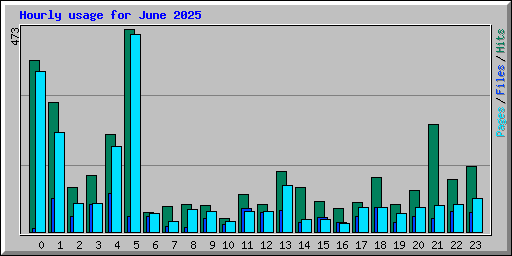 Hourly usage for June 2025