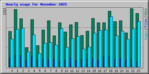 Hourly usage for November 2025