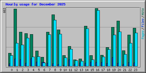 Hourly usage for December 2025