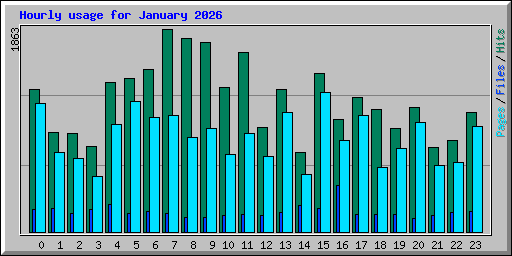 Hourly usage for January 2026