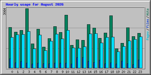 Hourly usage for August 2026