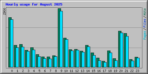 Hourly usage for August 2025