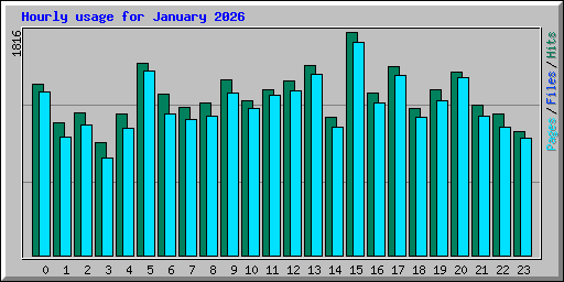 Hourly usage for January 2026