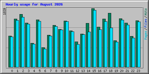 Hourly usage for August 2026